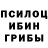 Псилоцибиновые грибы Psilocybine cubensis Aleksey Sidorkin