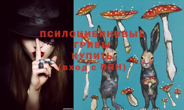mdpv Горняк