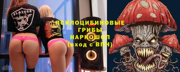 mdpv Горняк