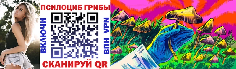 Купить  Калининск  Псилоцибиновые грибы Magic Shrooms 